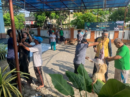 Idul Adha 1445 H, PTA Jambi Selenggarakan Penyembelihan Hewan Qurban, 1 Ekor Sapi dan 2 Ekor Kambing